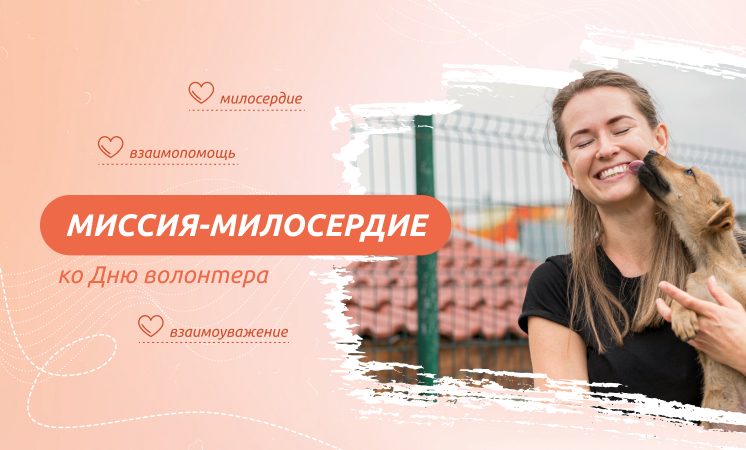 Разговоры о важном. Миссия – милосердие ко Дню волонтера..